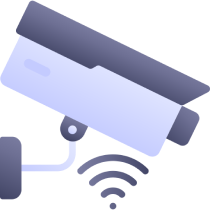 IP Cameras